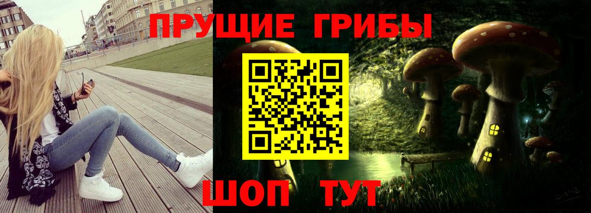 Новокубанск  Галлюциногенные грибы GOLDEN TEACHER  Вход с VPN 